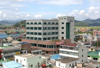 장성읍 시가지 모습(삼호 ...