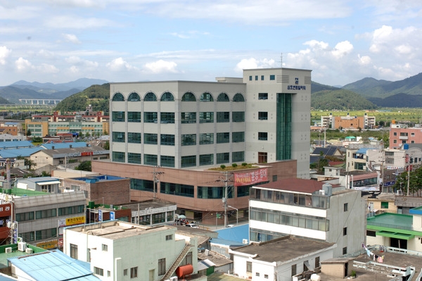 장성읍 시가지 모습(삼호 센트럴 타워)