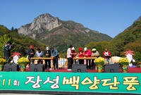 제11회백양단풍축제(단풍 ...