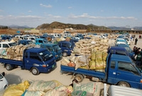 2006년 가을철 영농폐기...