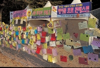 장성 관광화보(백양단풍축제...