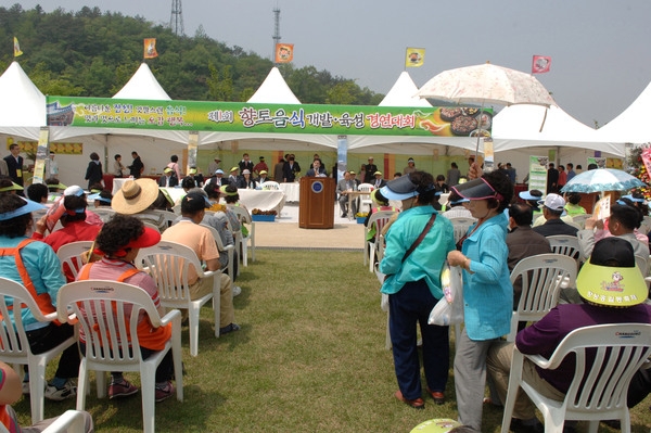 제9회 장성 홍길동 축제