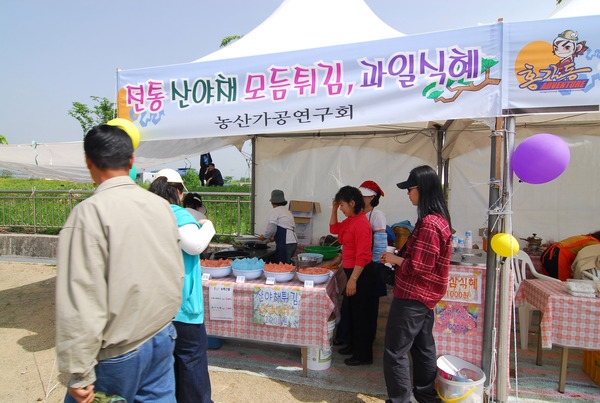 제9회 장성 홍길동 축제