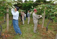 2007년 공무원 농촌일손...