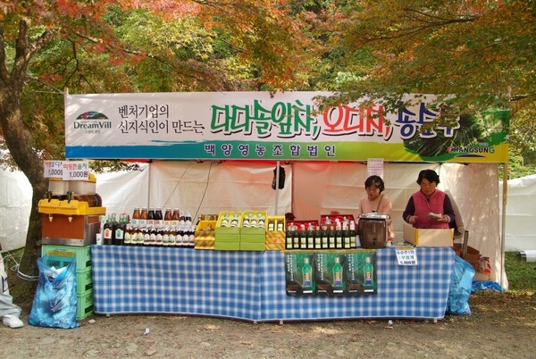 제12회 백양단풍축제