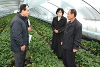 폭설피해 시설 하우스 현장...