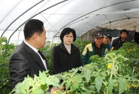 폭설피해 시설 하우스 현장...