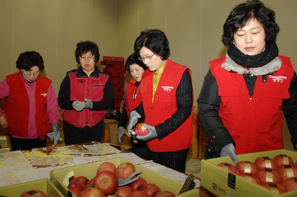 백합회원 사과선별 현장 체험