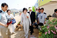 제10회 장성홍길동 축제