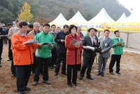 제13회 장성백양단풍축제 ...