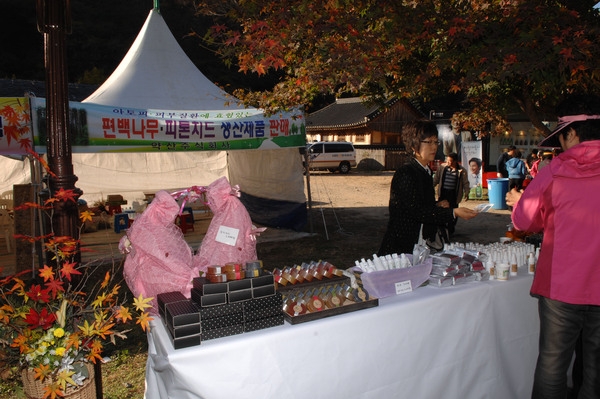 제13회 장성백양단풍축제