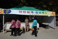 제13회 장성백양단풍축제