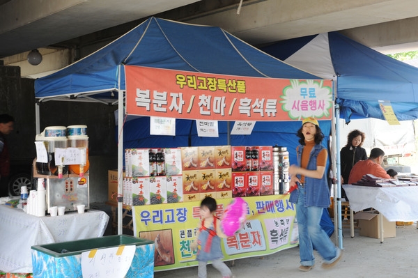 제11회 장성홍길동 축제