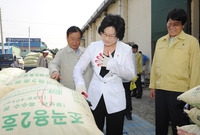 2009년 하곡수매 현장