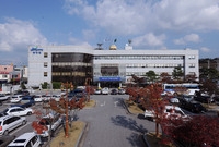 2009년 장성군청사 전경