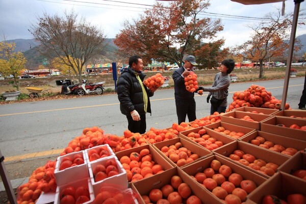 2009년도 장성관광사진 공모전
