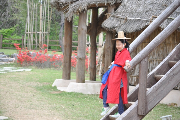 제12회 장성 홍길동 축제