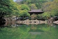 장성 관광사진전(백양사 쌍...