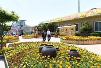 옐로우 시티(장성역)