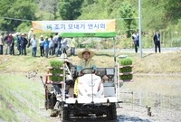 2015년 벼 조기 모내기...