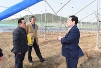 농어촌 뉴타운 드림빌 가과...