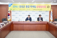 2016년 장성군 통합마케...