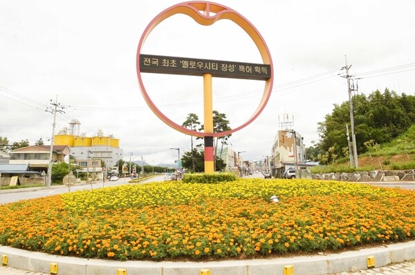 장성읍오거리회전교차로,반구다리 회전교차로
