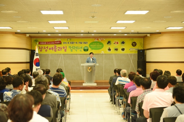엘로우시티, 장성 여름과일 컬렉션