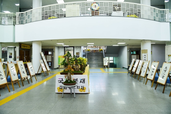 군청현관 국화전시