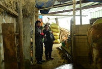 2017년 구제역 백신접종...