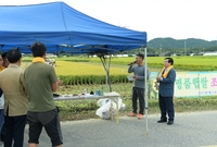 진원면 쌀전업농회 명품햅쌀...