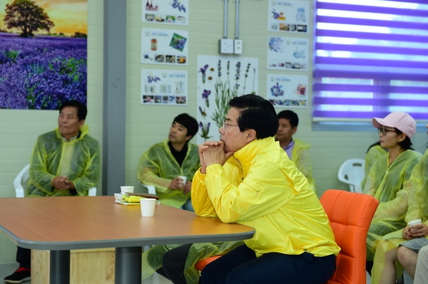 광양 라벤터 축제 선진지 견학