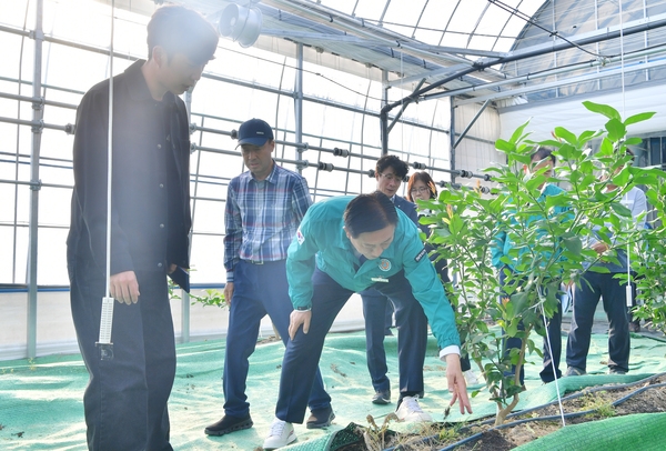 과수육성사업 사업현장 방문