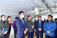 토마토 천명우 농가 방문