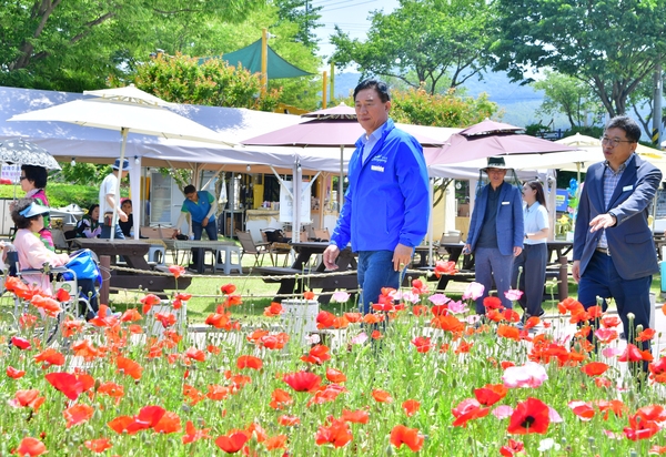 군수님 축제장 점검