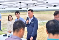호라산 밀 수확현장방문