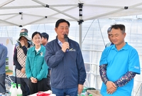  남면 안평쌀 수확현장 남...