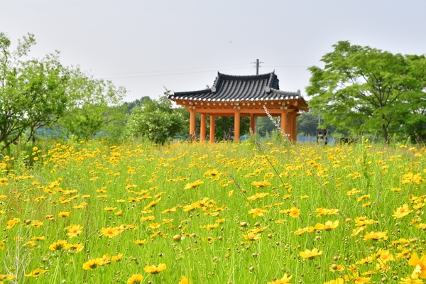 찾아가는 전남행복버스 삼서면