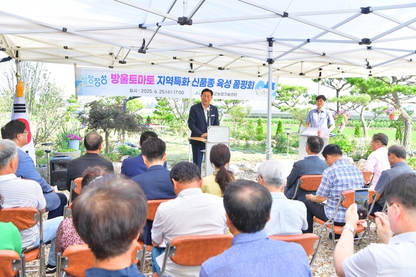 토마토 지역특화 신품종 육성 품평회