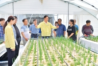 쪽파생산 농가 방문