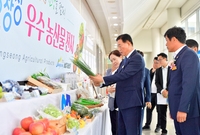 농업인 한마음 대회