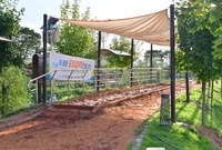 군수님 황룡강변 점검