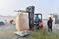 가루쌀수매현장 방문