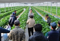 딸기재배 현장교육 참관