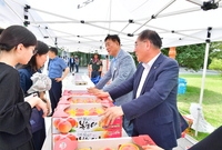 국회 복숭아 판매