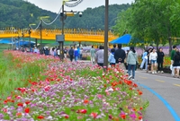 홍길동무꽃길축제 현장