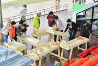 황룡강 꽃길 축제