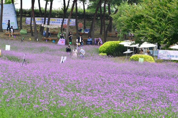 동화면 버베나축체