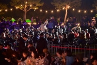 2025 장성황룡강 가을꽃...