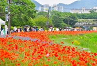 황룡강 음악힐링축제